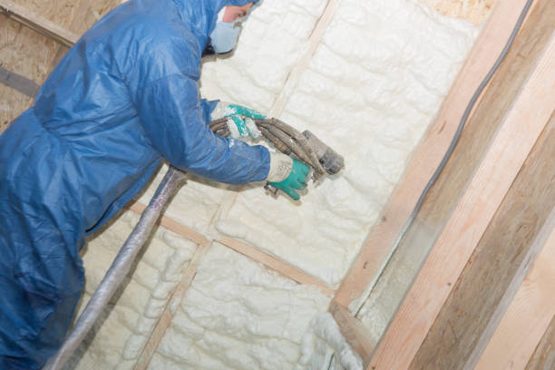 Types of Insulation We Offer in Veazie, ME